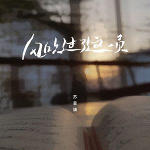 极品欧美大波波
