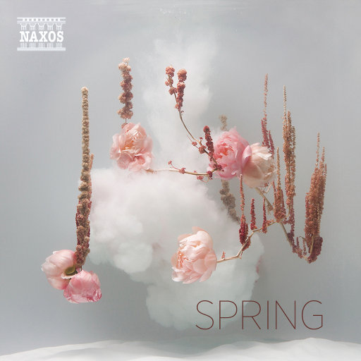 极品欧美大波波
